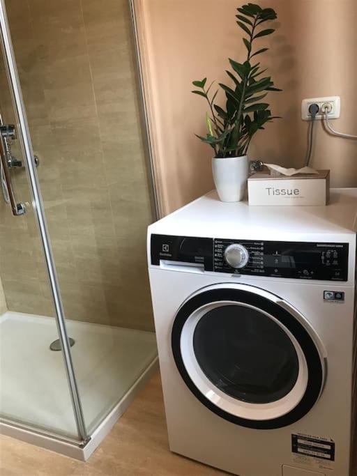 Linden Garden Apartment ポストイナ エクステリア 写真